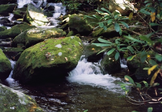 Gabes Mountain Trail